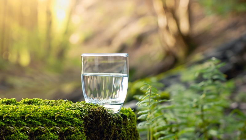 Springtime Hydration Hacks: Delicious Infusions and Wellness Drinks