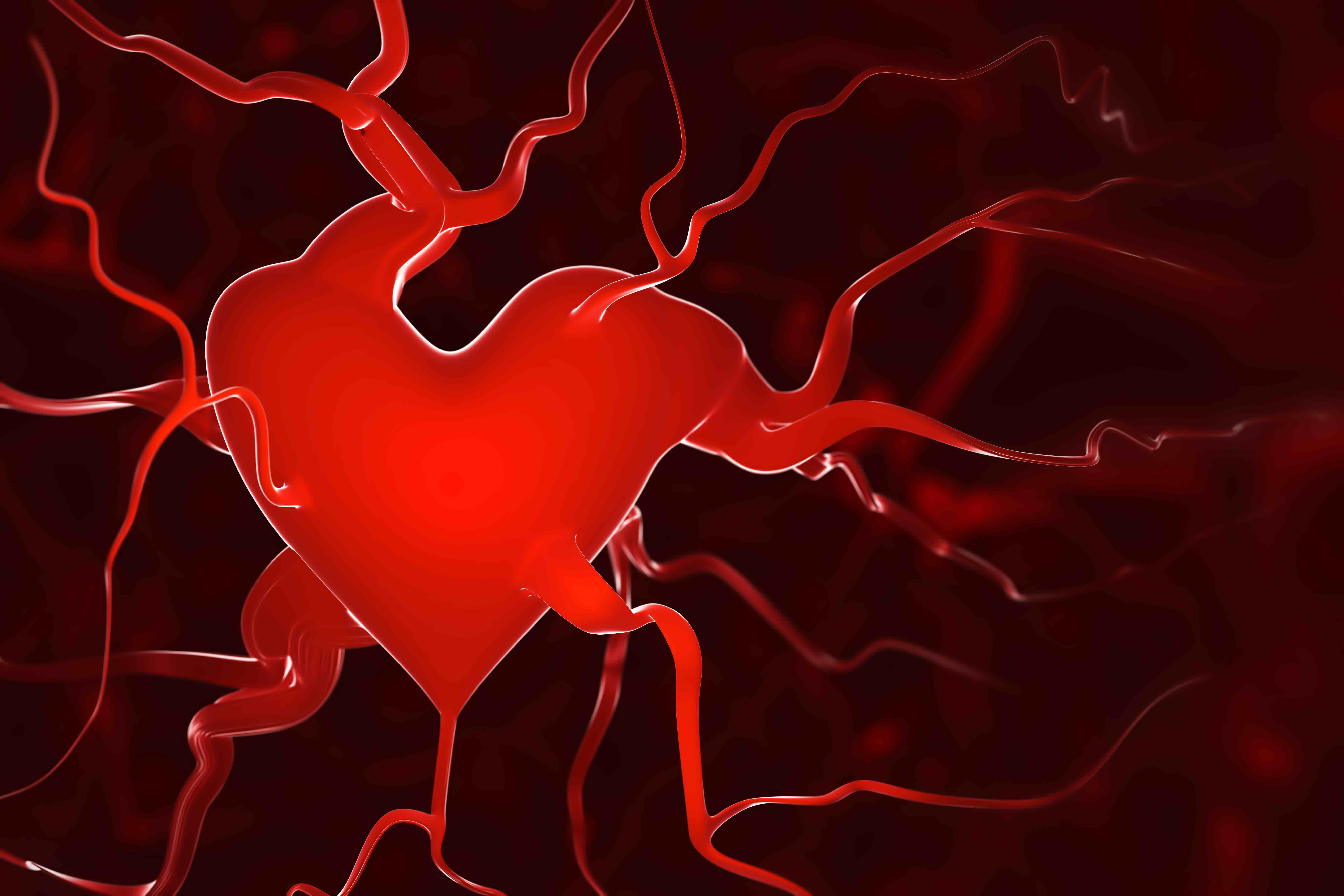 The Relationship between Weight Loss and a Healthier Heart