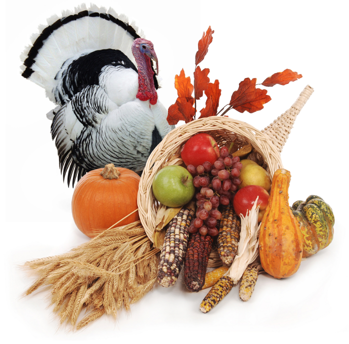 Enjoying Thanksgiving Without Sabotaging Your Weight Loss